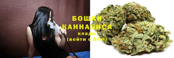 сатива Балабаново