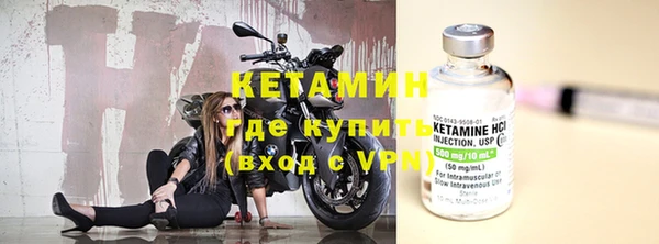 крисы Баксан