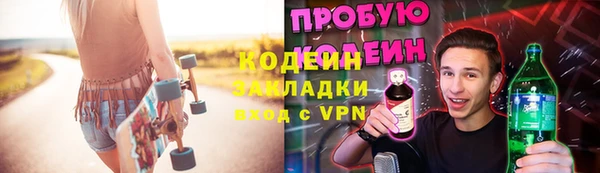 крисы Баксан