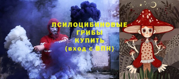 крисы Баксан