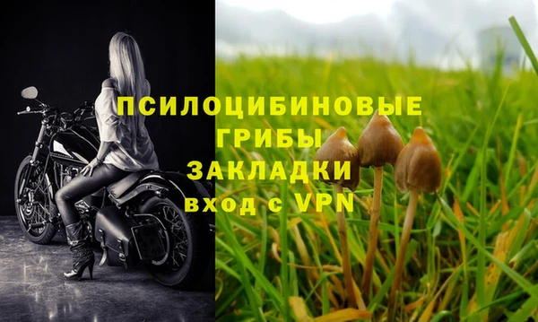 крисы Баксан