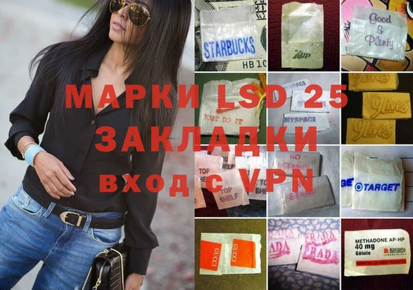 крисы Баксан
