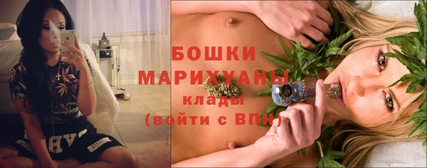 крисы Баксан