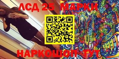 стафф Кингисепп