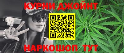 стафф Кингисепп