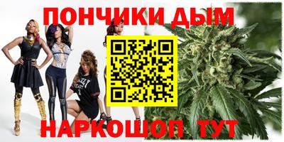 стафф Кингисепп