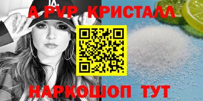 стафф Кингисепп