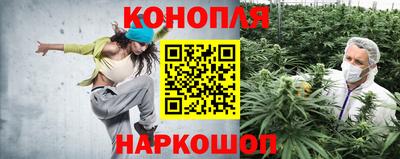 дурь Кимры