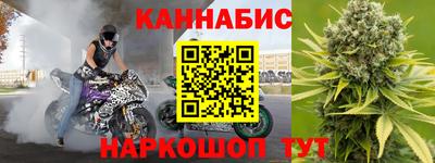 стафф Кингисепп