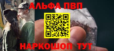 стафф Кингисепп