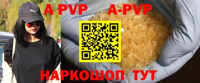 стафф Кингисепп
