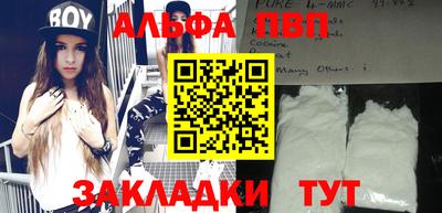 стафф Кингисепп
