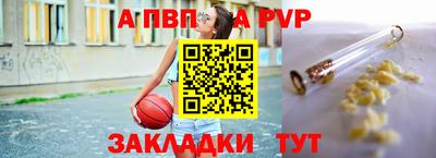 стафф Кингисепп
